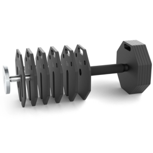 ATX® Discos de peso Octa 2 x 2 kg