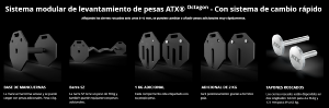 ATX® Soporte de almacenamiento ajustable para mancuernas octogonales - XL