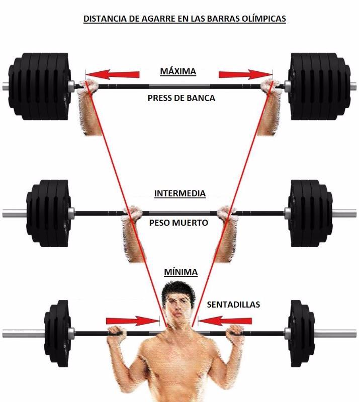 7 Tipos De Barras De Gym (Sentadilla, Peso Muerto, Banco)